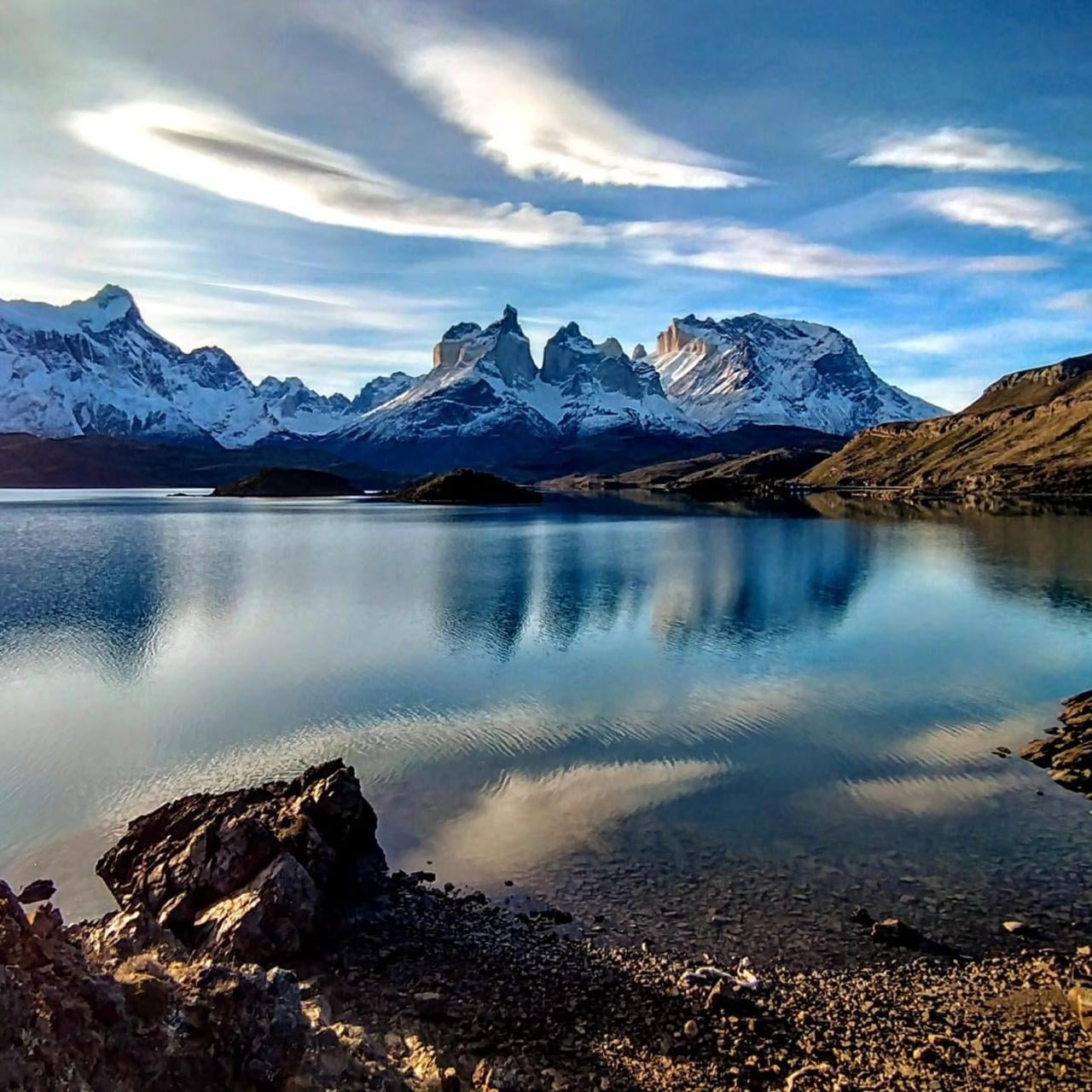 Patagonia Vultour