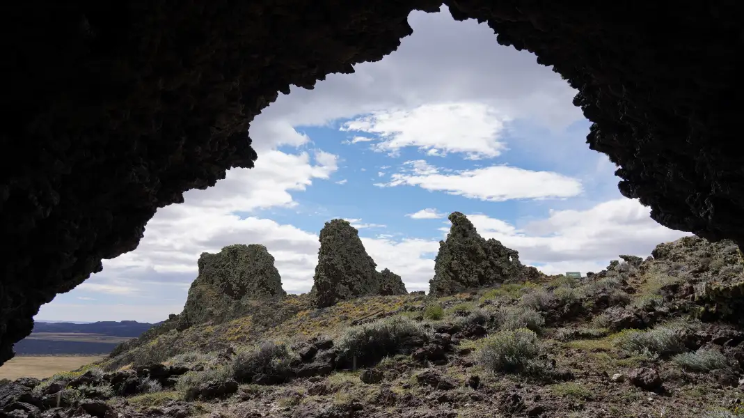 Parque Nacional Pali Aike - Vultour